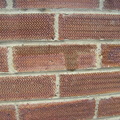 BILD4985.JPG